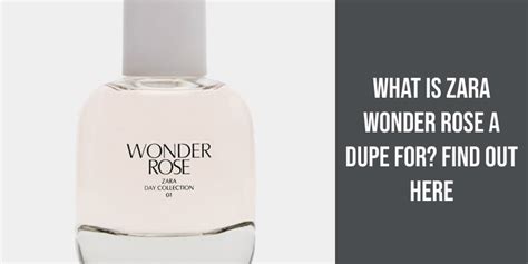 zara dior dupe|zara wonder rose dupes.